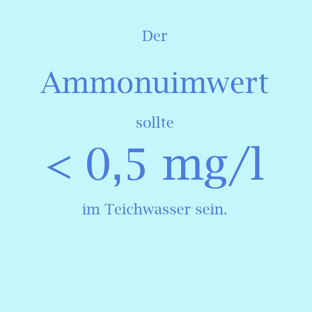 0,5 mg/l 
