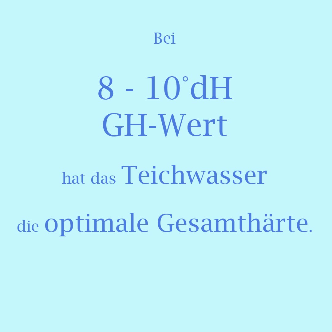 8-10 °dH GH-Wert = optimale Wasserhärte 