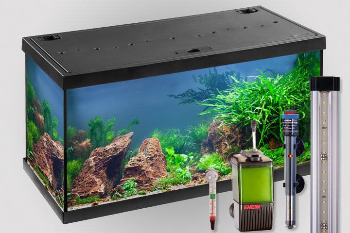 Anfänger Aquarium mit LED Beleuchtung